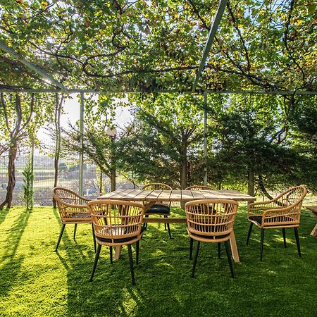 Mirtilo Apartment Oinofyta 외부 사진