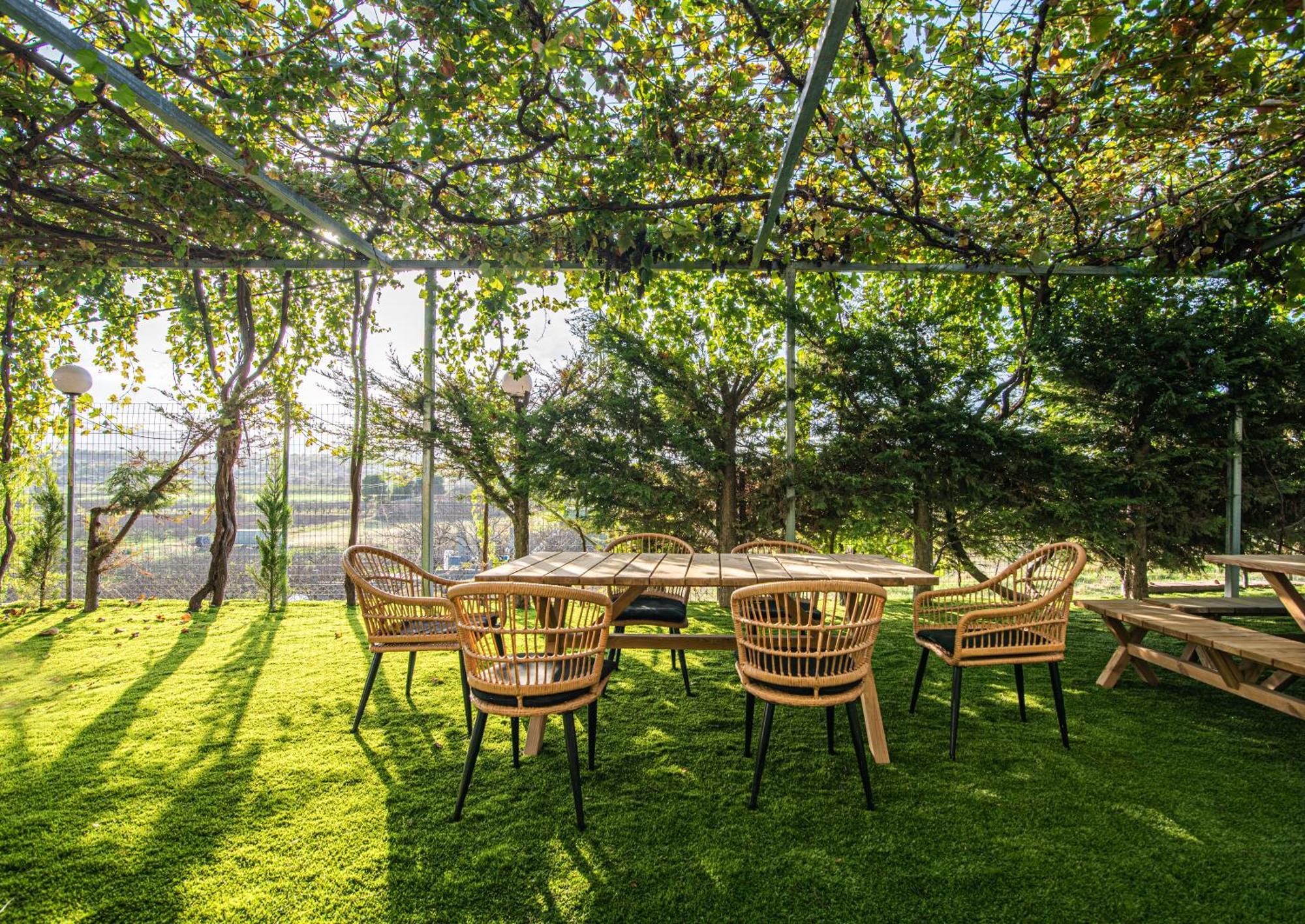Mirtilo Apartment Oinofyta 외부 사진
